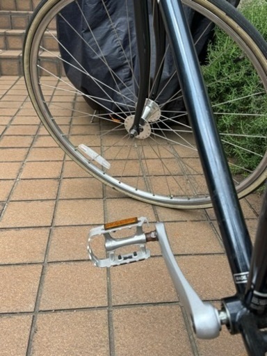 Fuji stroll 2022モデル