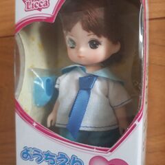 レア【新品未開封】リカちゃんシリーズ★りくくん、かこちゃん★ブラシヘアセット※5280円分の画像