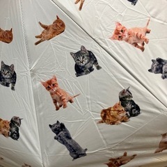 K2405-272 猫柄 晴雨兼用折りたたみ傘 中古美品の画像
