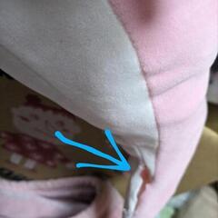 ご購入者様⭐決まりました⭐ありがとうございます(^^)⭐イルカ⭐大きいぬいぐるみの画像