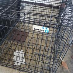 【売却済】本日夕方まで！動物用ケージの画像