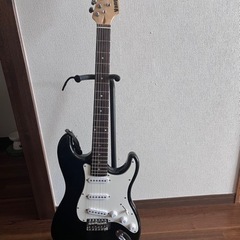 楽器 弦楽器、ギター（決まりました）