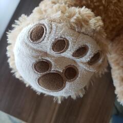 【受渡し決定】早急に引き取りできる方！ダッフィーぬいぐるみの画像