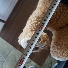 【受渡し決定】早急に引き取りできる方！ダッフィーぬいぐるみの画像