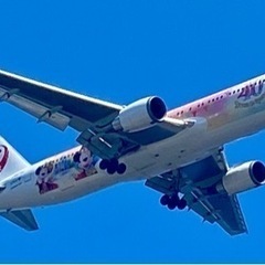 今日の日　羽田空港いる方で集まろう‼️ 飛行機見ながら楽しい時間を過ごしませんか？ - メンバー募集