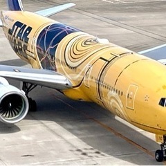 今日の日　羽田空港いる方で集まろう‼️ 飛行機見ながら楽しい時間を過ごしませんか？ − 東京都