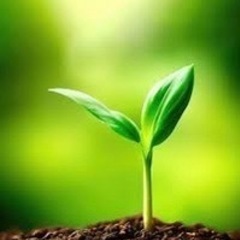 個人事業等の社長様で売上とは別に不労所得をお持ちの方😃
