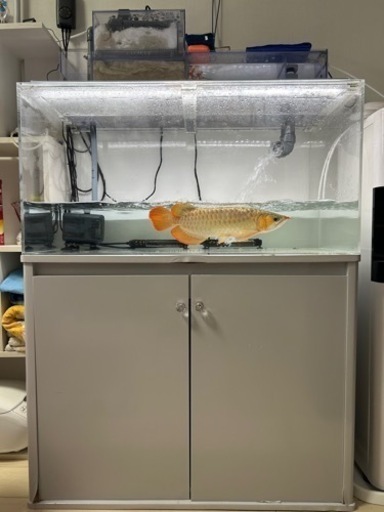 900アクリル水槽