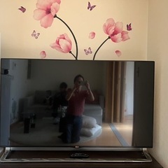 家電 テレビ 液晶テレビ