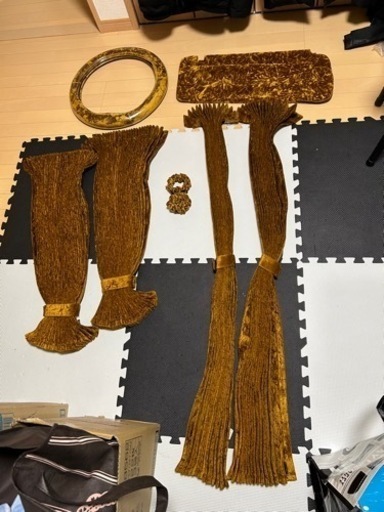 金華山チンチラゴールド