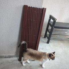 ガーデニング柵。木製の画像