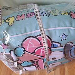 ハンギョドン　クッション　Sanrioの画像