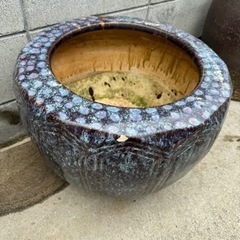 睡蓮鉢　火鉢