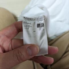 レディース　Tシャツ　2枚の画像