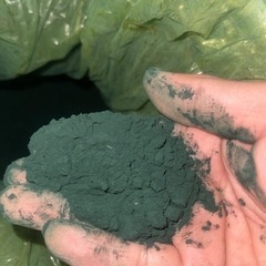 スピルリナ粉末　メダカ　金魚　錦鯉　色揚げに