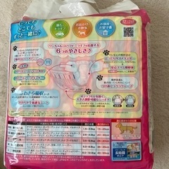 マナーウエア　女の子用ピンクリボン　Ｓサイズの画像