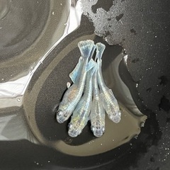 メダカ　エメキン　4匹　1センチ弱