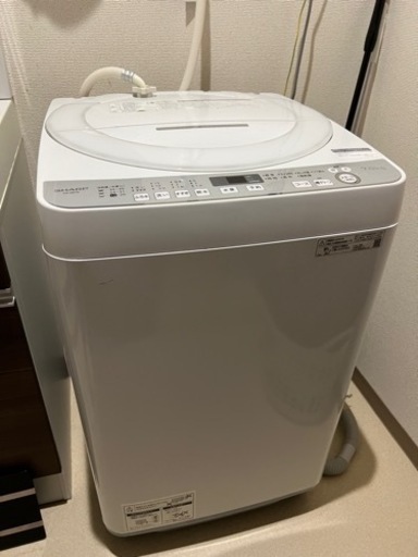 家電 生活家電 洗濯機