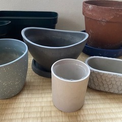 受け渡し決定　植木鉢、プランターなど【まとめて】