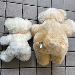 クマぬいぐるみの画像