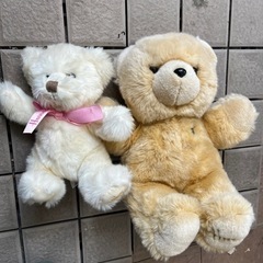 クマぬいぐるみ