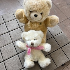 クマぬいぐるみの画像