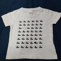 キッズ　アドベンチャーワールド　Tシャツ