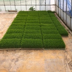 生活雑貨 家庭用品 ガーデニング