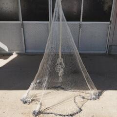 💥トウアミ💥値下げしてましたの画像