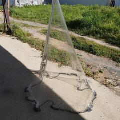 💥トウアミ💥値下げしてました