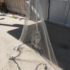 💥トウアミ💥値下げしてましたの画像