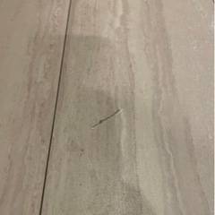 フローリング、建具、建具枠リペア