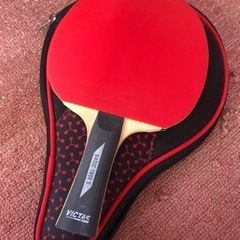 スポーツ 卓球