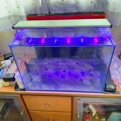 水槽

