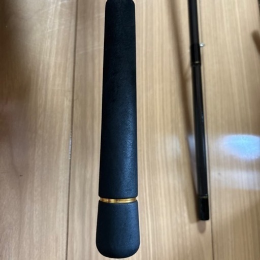 ラテオ110M
