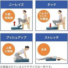 無料です。全て引き取って下さる方。ホットプレート、ゴロネックスの画像