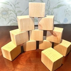 木の積み木   10個入り