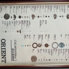 オリエント時計分解図標本
の画像