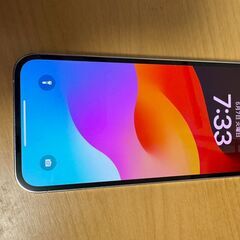 iPhone 12 Pro 256GB　ライトニング端子のみ不良