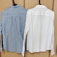レディース　ブラウス　シャツの画像