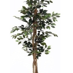 生活雑貨 家庭用品 ガーデニング
