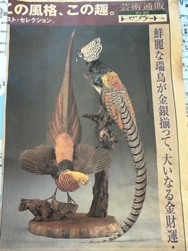 骨董品錦鶏鳥・銀鶏鳥(剥製) (Aoi0309) 名谷のインテリア雑貨 骨董品錦鶏鳥・銀鶏鳥(剥製) (Aoi0309) 名谷のインテリア雑貨