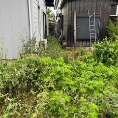 ゴミ回収お願い