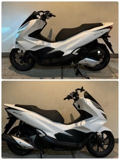 PCX jf81

