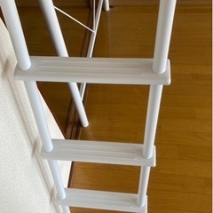ベット の画像