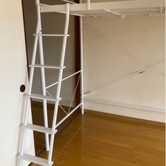 ベット の画像