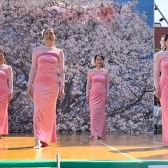 🌺ホアカフラスタジオ　本厚木新規メンバー大募集🌴の画像