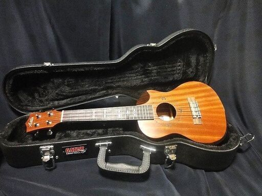 ♪お洒落なコンサートウクレレ　Aostin UMI-1C Pro　HC付き♪