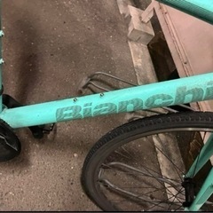 ビアンキ クロスバイク スポーツ1 43