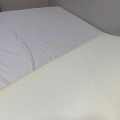 トゥルースリーパープレミアケア セミダブルの画像